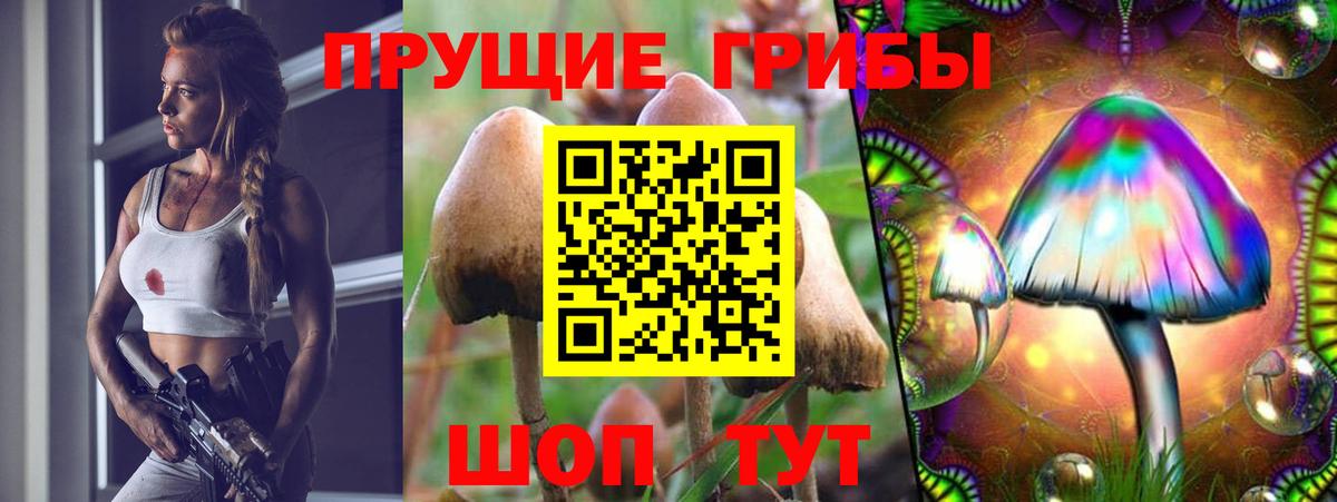 Добрянка  Псилоцибиновые грибы MAGIC MUSHROOMS  Вход с VPN  Псилоцибиновые грибы Psilocybine cubensis 