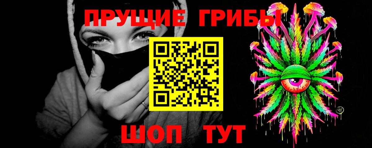 Псилоцибиновые грибы Cubensis Добрянка